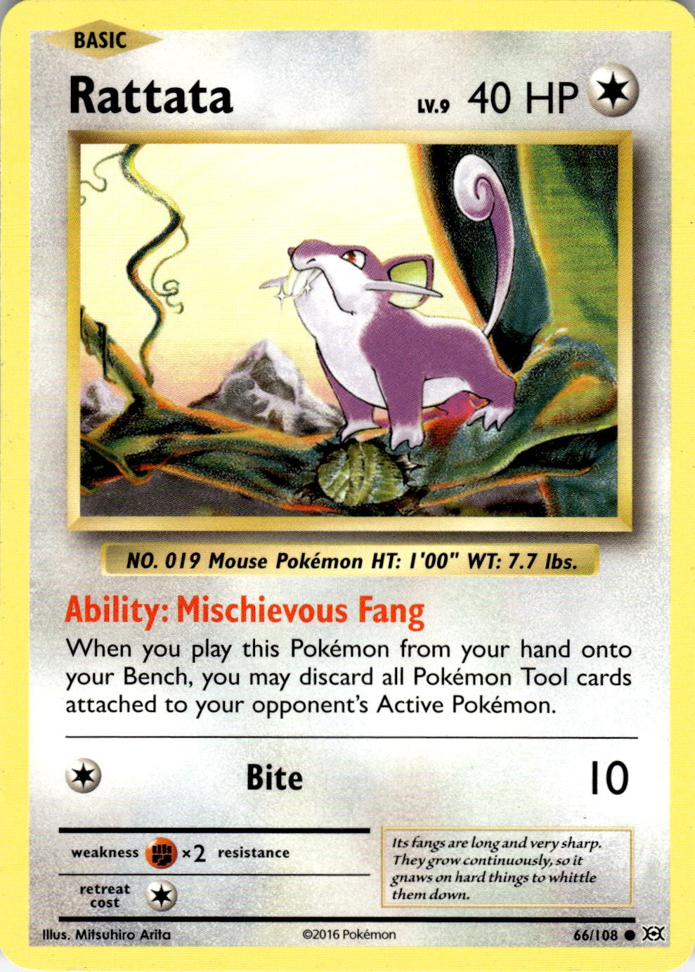 Rattata 66/108 Common Evolutions Pokemon Near Mint