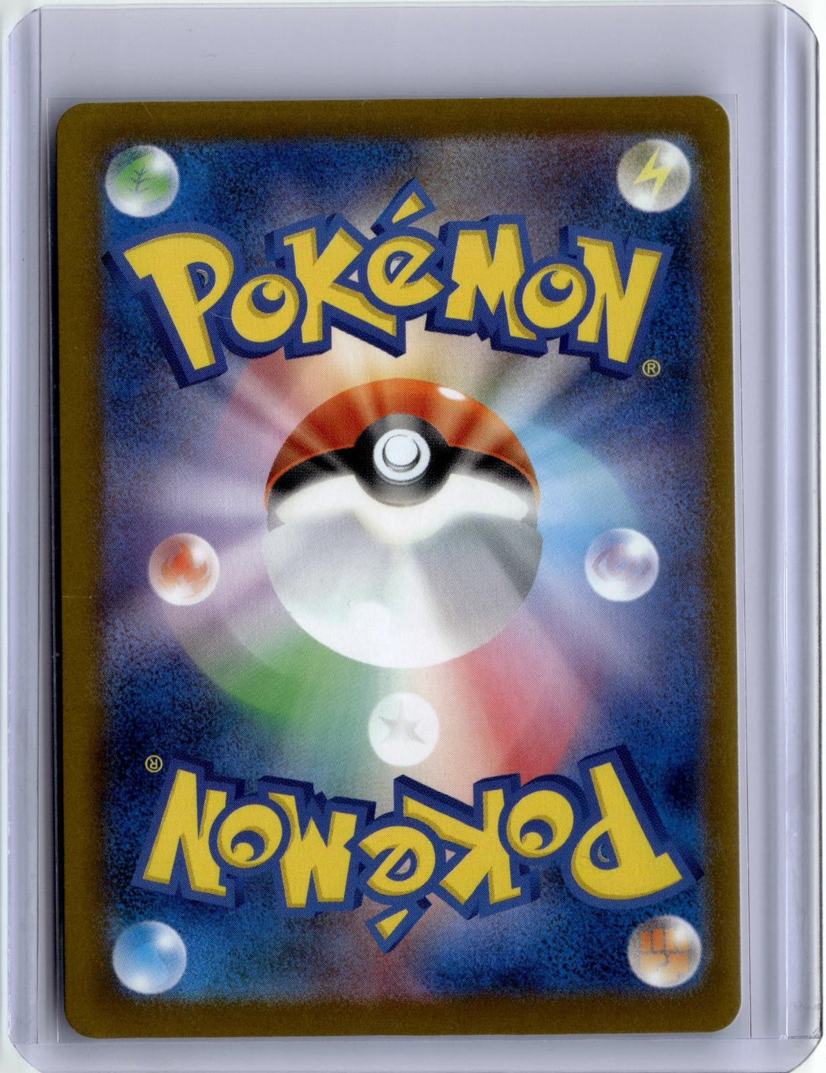 Back of the card