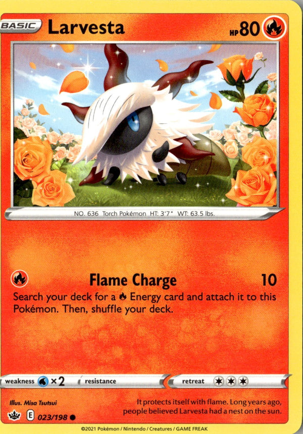 Image #1