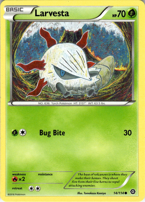 Image #1