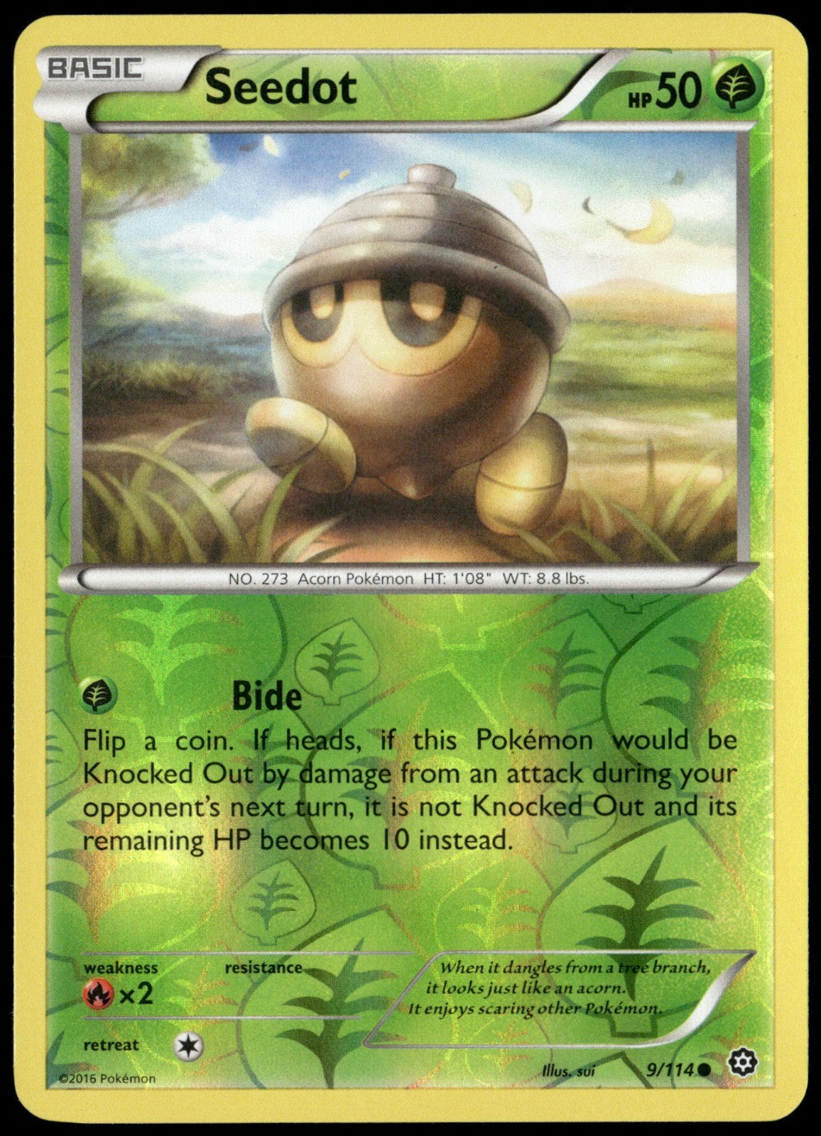 Seedot Reverse Holo Common XY - Steam Siege 9/114 NM