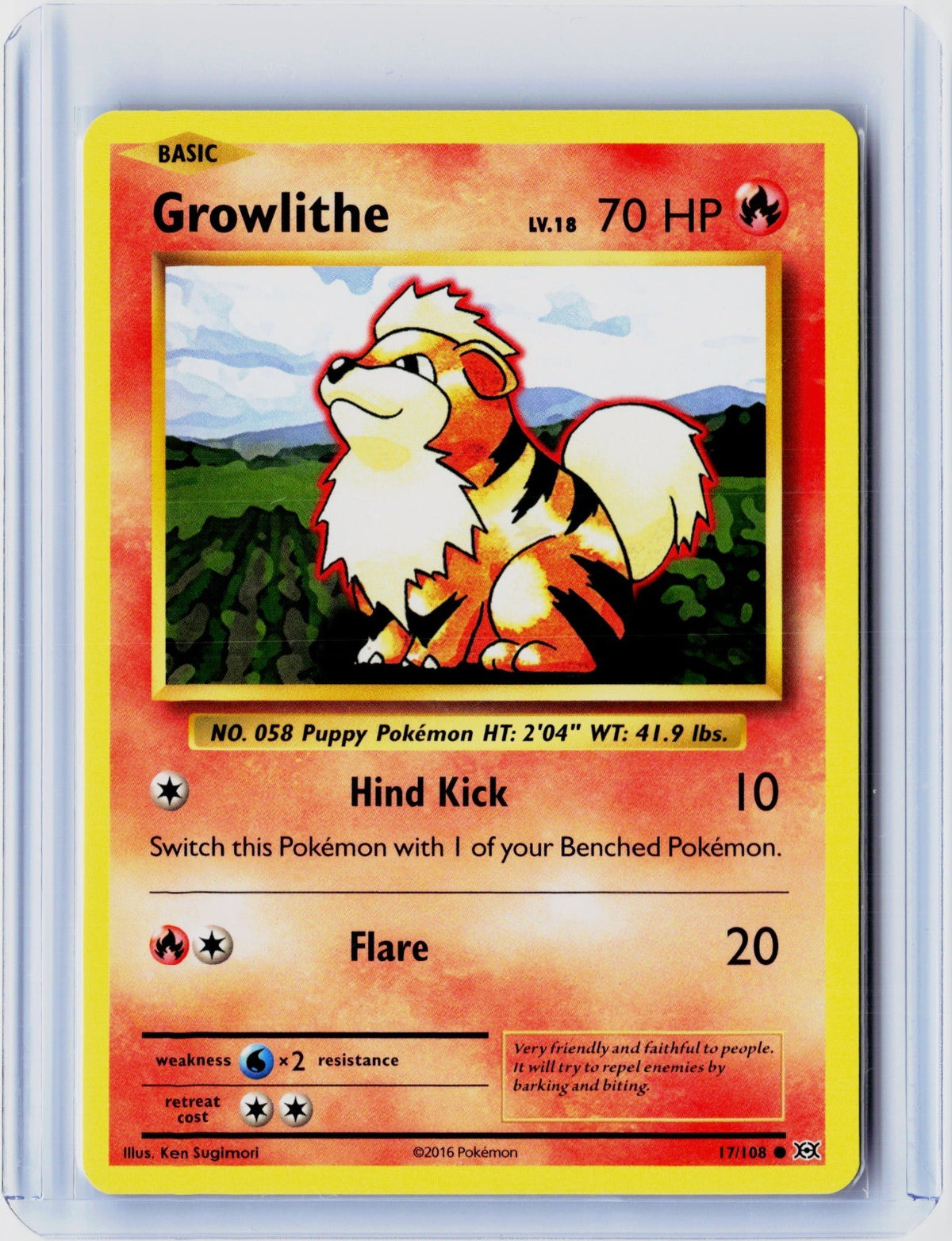 Growlithe Common XY - Evolutions 17/108 NM