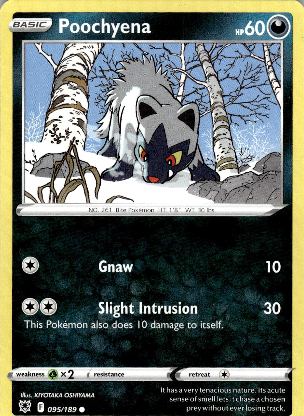 Poochyena 095/189 Common Astral Radiance Pokemon Near Mint