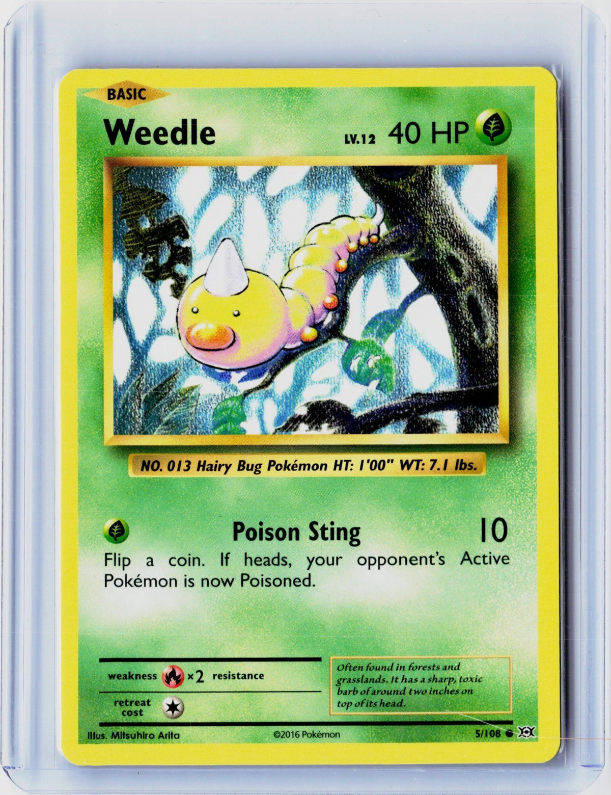 Weedle Common XY - Evolutions 5/108 NM