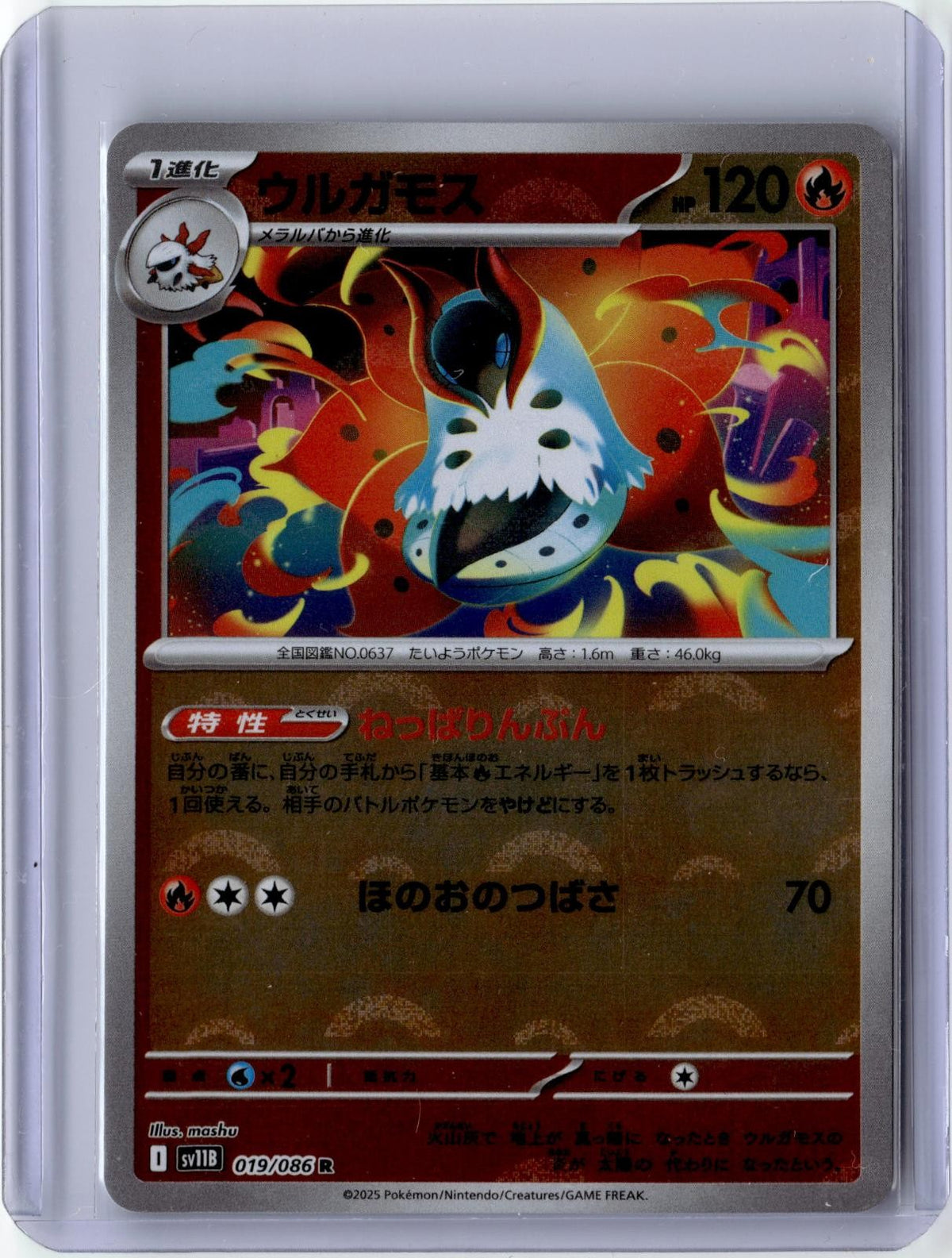 POKEMON VOLCARONA (POKE BALL PATTERN) 019/086 SV11B: BLACK BOLT JAPANESE HOLO NM