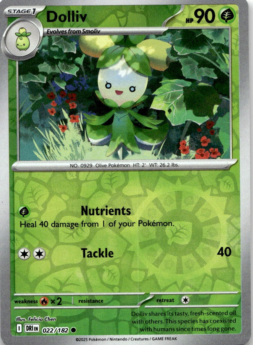 Dolliv 022/182 Common Destined Rivals Pokemon Reverse Holo Near Mint