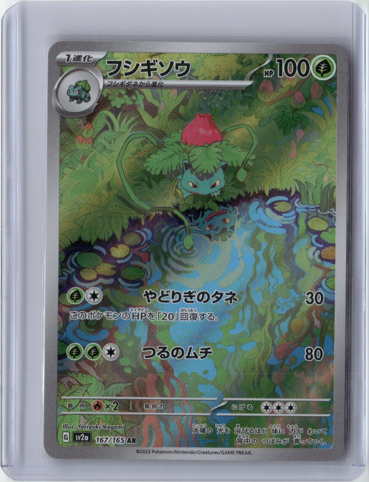 Ivysaur Holo Art Rare SV2a: Pokemon Card 151 167/165 NM