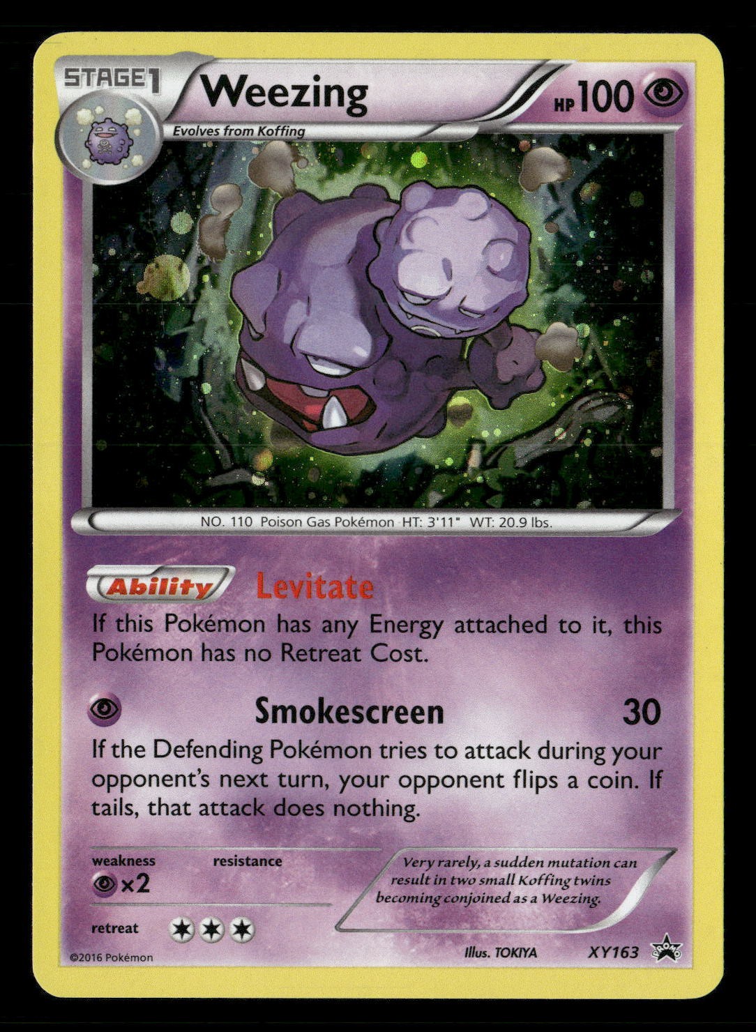 Weezing Holo Promo XY Promos XY163 NM