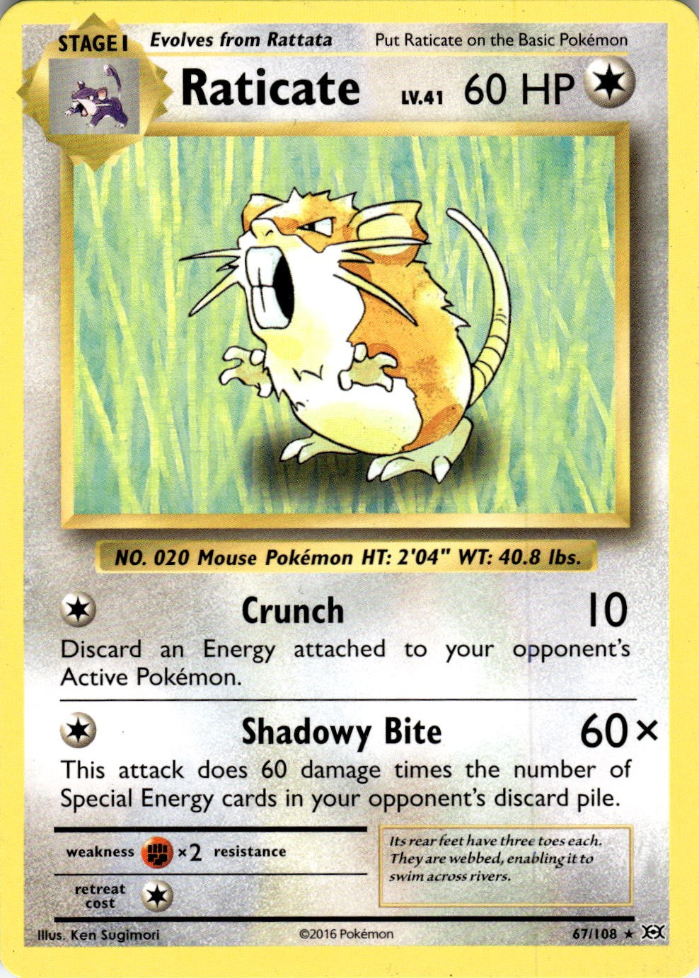 Raticate 67/108 Rare Evolutions Pokemon Near Mint