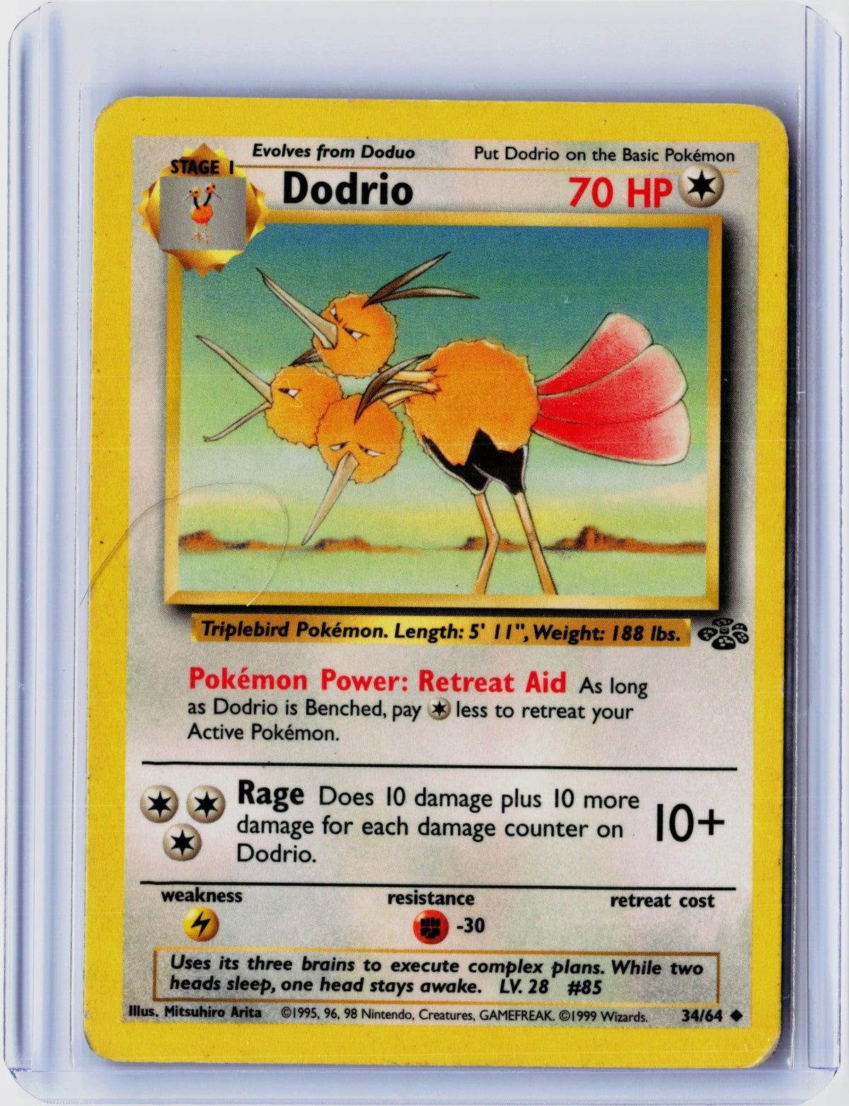 Dodrio Uncommon Base Set 2 037/130 NM