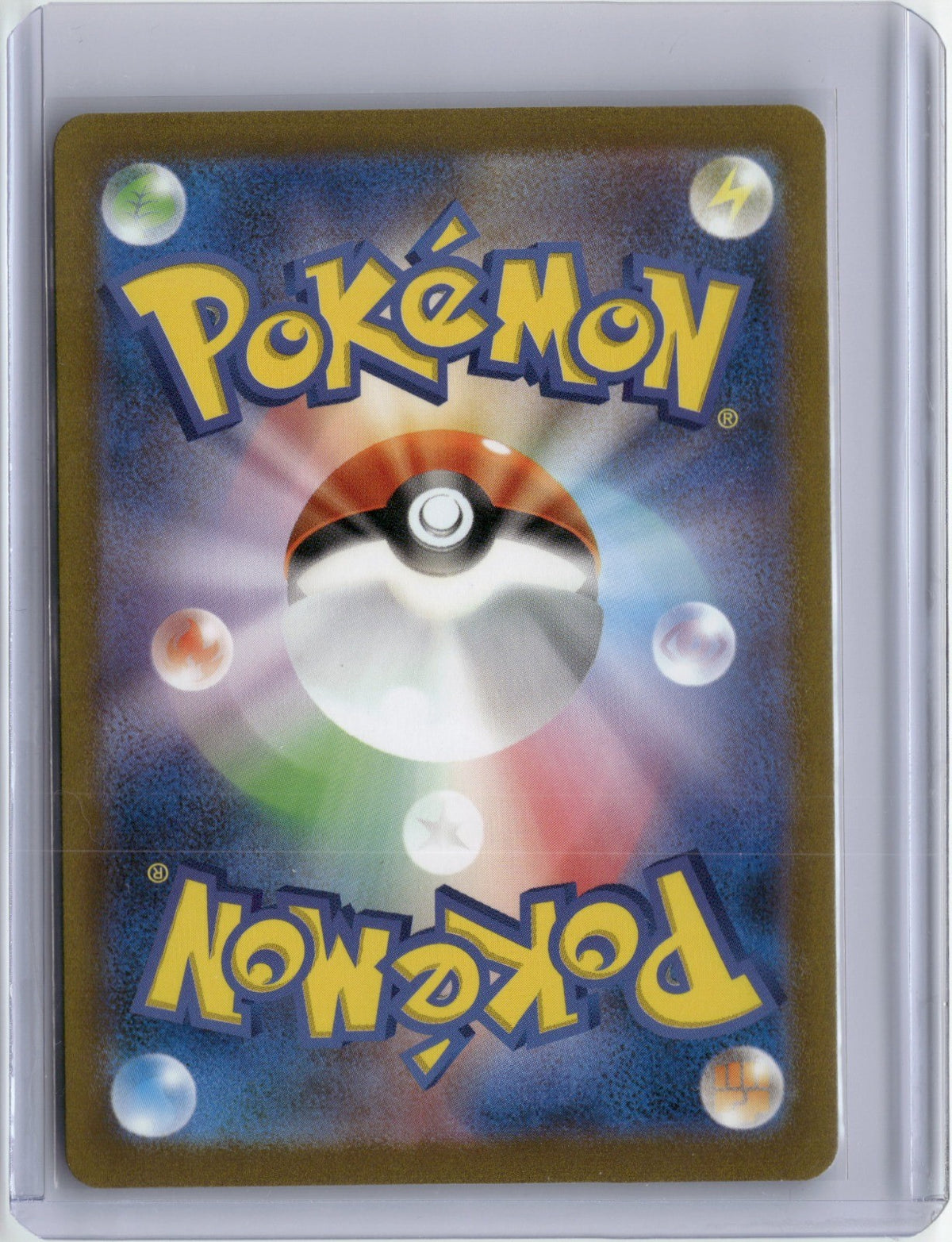 Back of the card