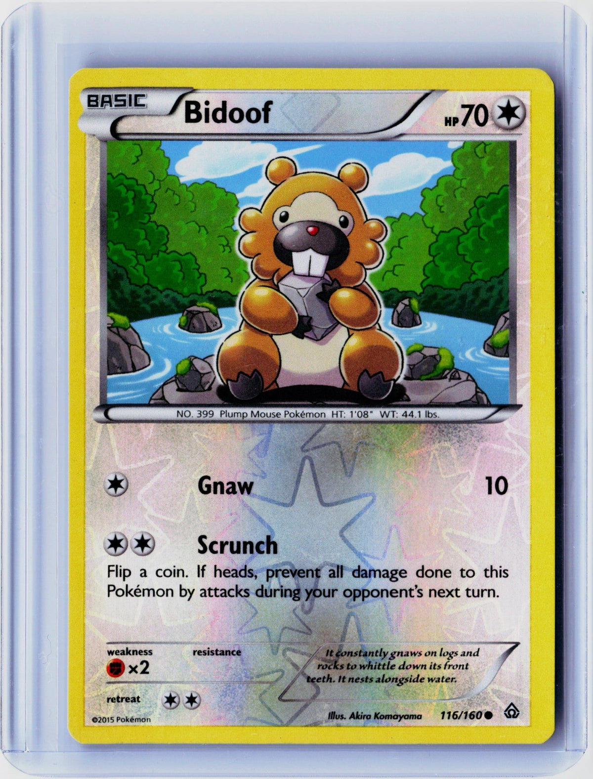 Bidoof Reverse Holo Common XY - Primal Clash 116/160 NM