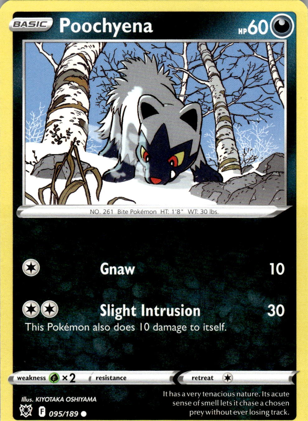 Poochyena 095/189 Common Astral Radiance Pokemon Near Mint