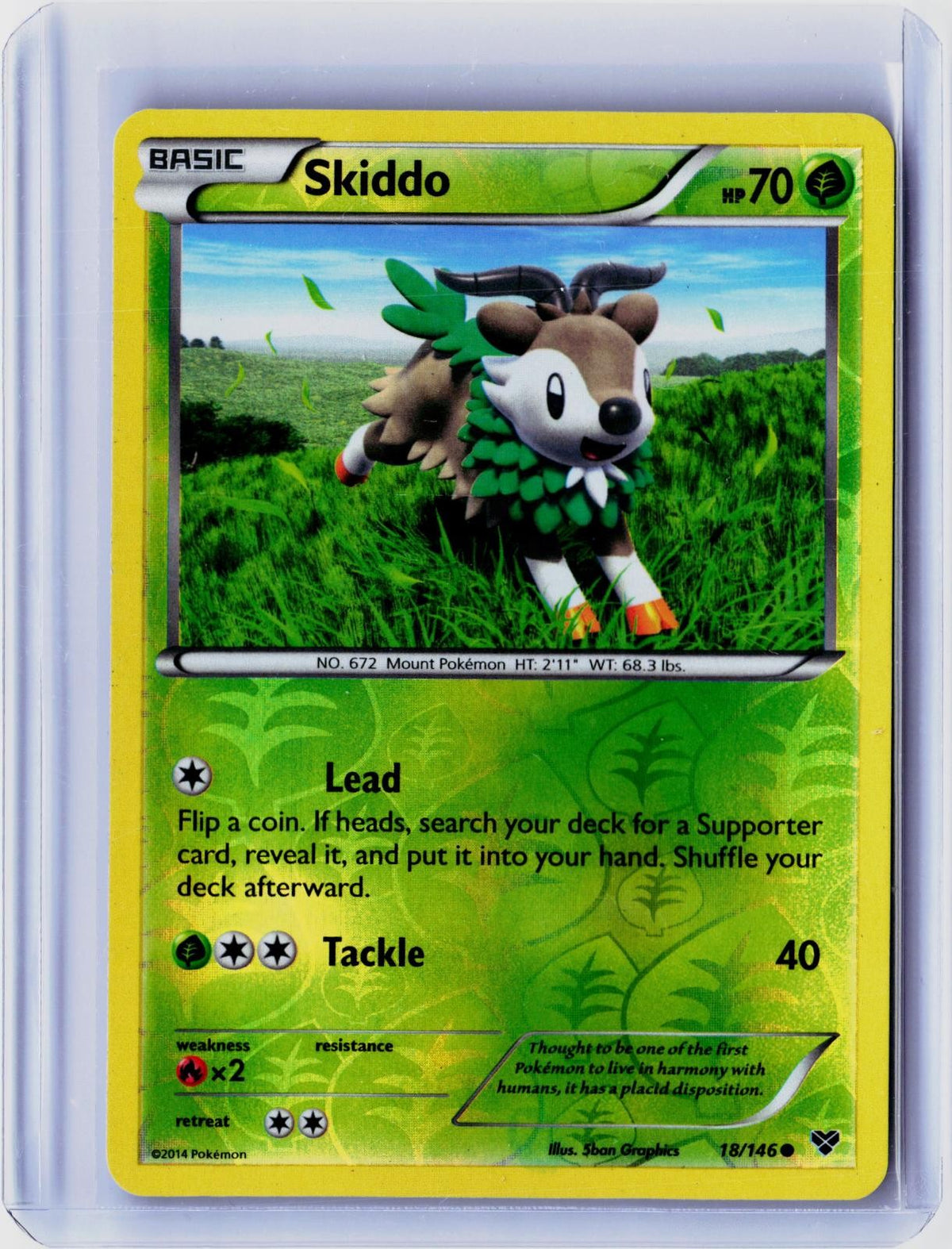 2014 POKEMON SKIDDO 18/146 COMMON XY BASE SET REVERSE HOLO NEAR MINT