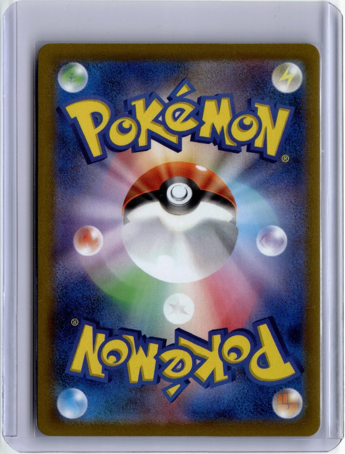 Back of the card