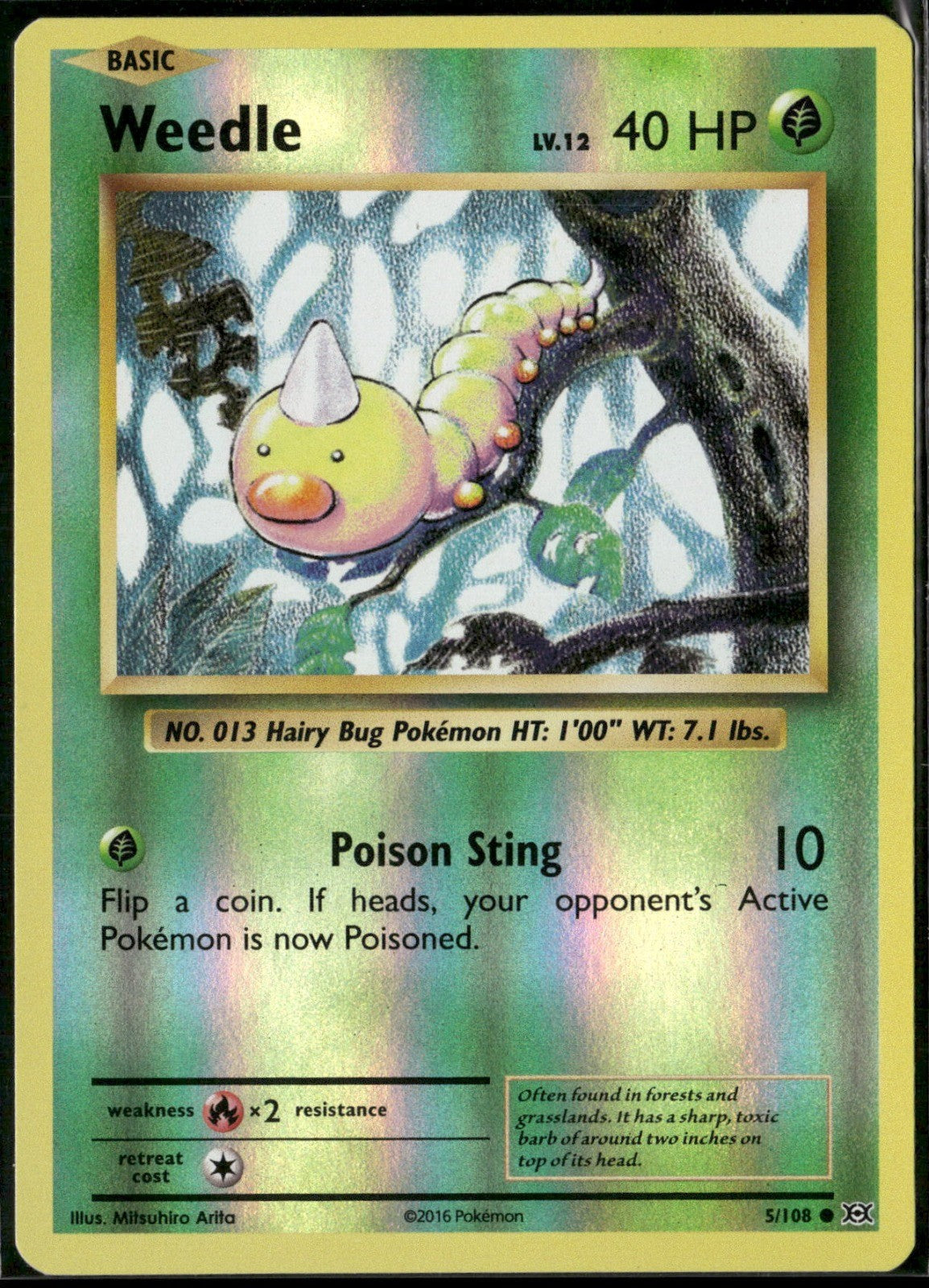 Weedle Reverse Holo Common XY - Evolutions 5/108 NM