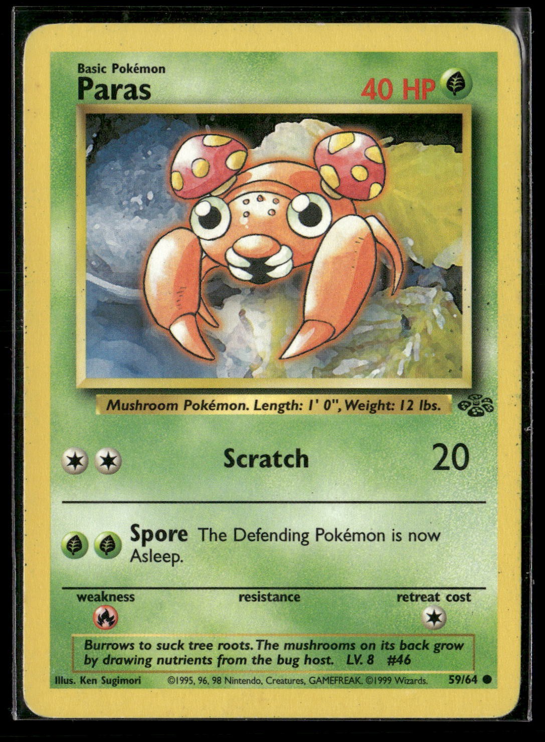 Paras Unlimited Common Jungle 59/64 LP