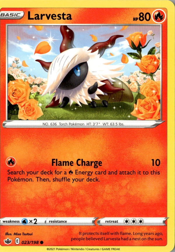 Image #1