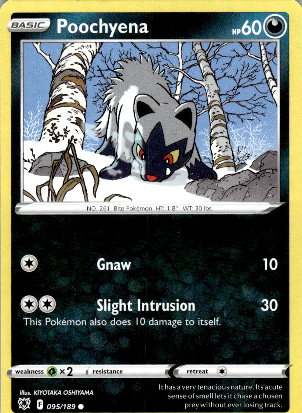 Poochyena 095/189 Common Astral Radiance Pokemon Near Mint