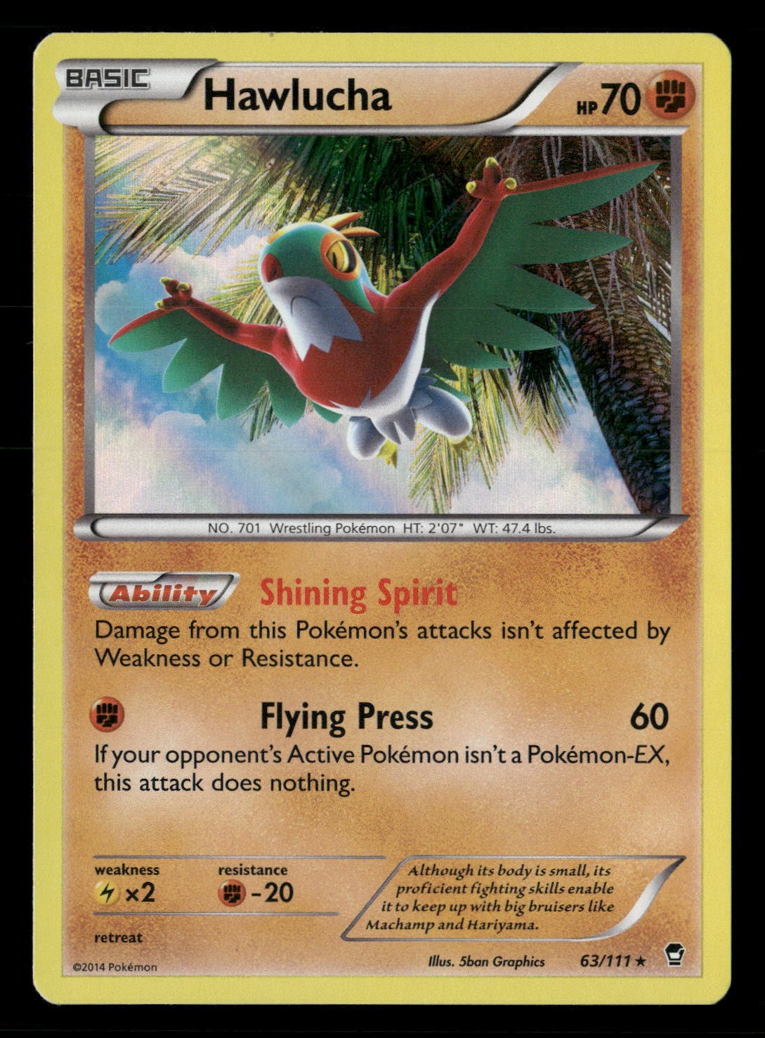 Hawlucha Holo Rare XY - Furious Fists 63/111 NM