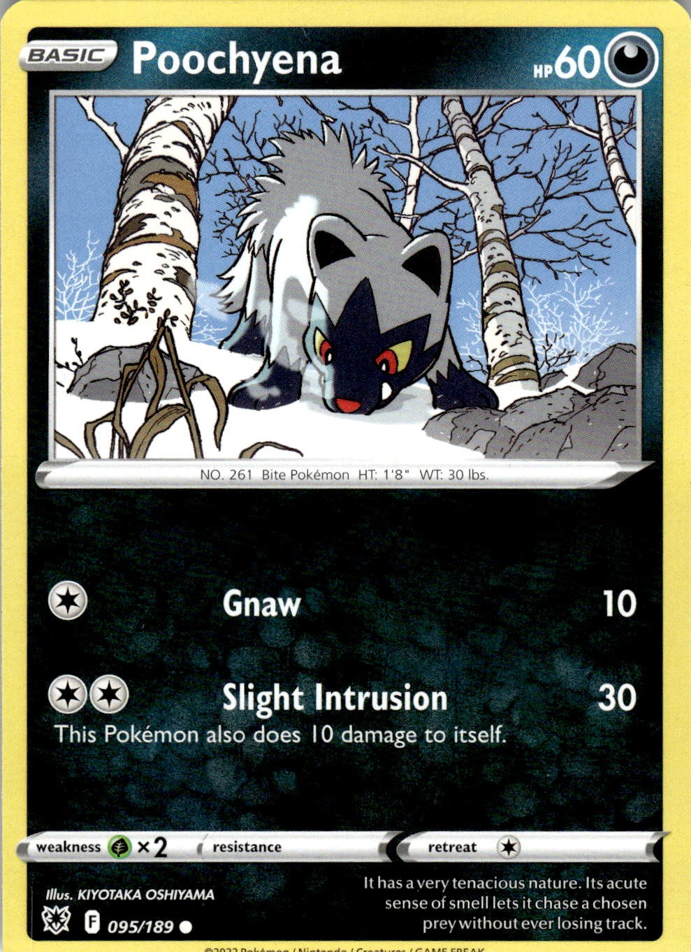 Poochyena 095/189 Common Astral Radiance Pokemon Near Mint